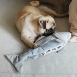 Trouut, jouet de fouille pour chien