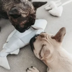 Trouut, jouet de fouille pour chien