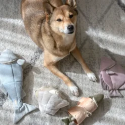 Trouut, jouet de fouille pour chien