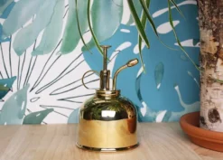 Vaporisateur doré pour plantes