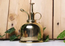 Vaporisateur doré pour plantes
