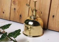 Vaporisateur doré pour plantes