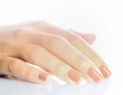 Vernis #15 délicate - nude