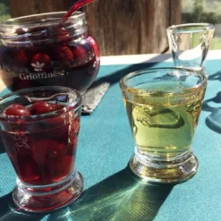 Verre à shooter abeille 6 cl x6