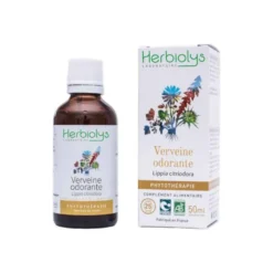 Verveine odorante bio