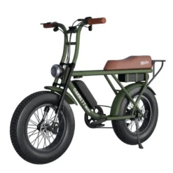 Vélo électrique biplace cargo garrett miller x vert, batt double, tout terrain