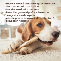 Wildfang - causer le bâton du cerf de jachère - 1 x l