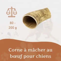 Wildfang - corne à mâcher de boeuf - 1 piece - m