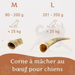 Wildfang - corne à mâcher de boeuf - 1 piece - m