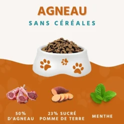 Wildfang® croquettes adultes à l'agneau - sans céréales - 2 x 2 kg