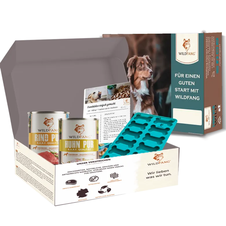 Wildfang - kit de pâtisserie wildfang pour biscuits pour chiens - m