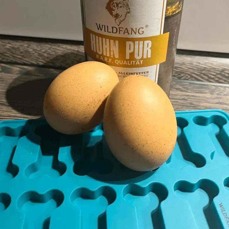 Wildfang - kit de pâtisserie wildfang pour biscuits pour chiens - m
