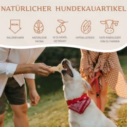 Wildfang os en cuir naturel pour chien — hygiène dentaire et anti-stress