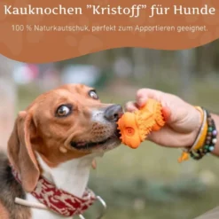 Wildfang os à mâcher kristoff en caoutchouc naturel