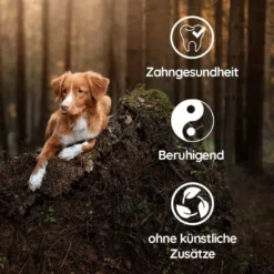 Wildfang - pack chiot «bienvenue jeune compagnon» - pour chiens jusqu'à 25 kg
